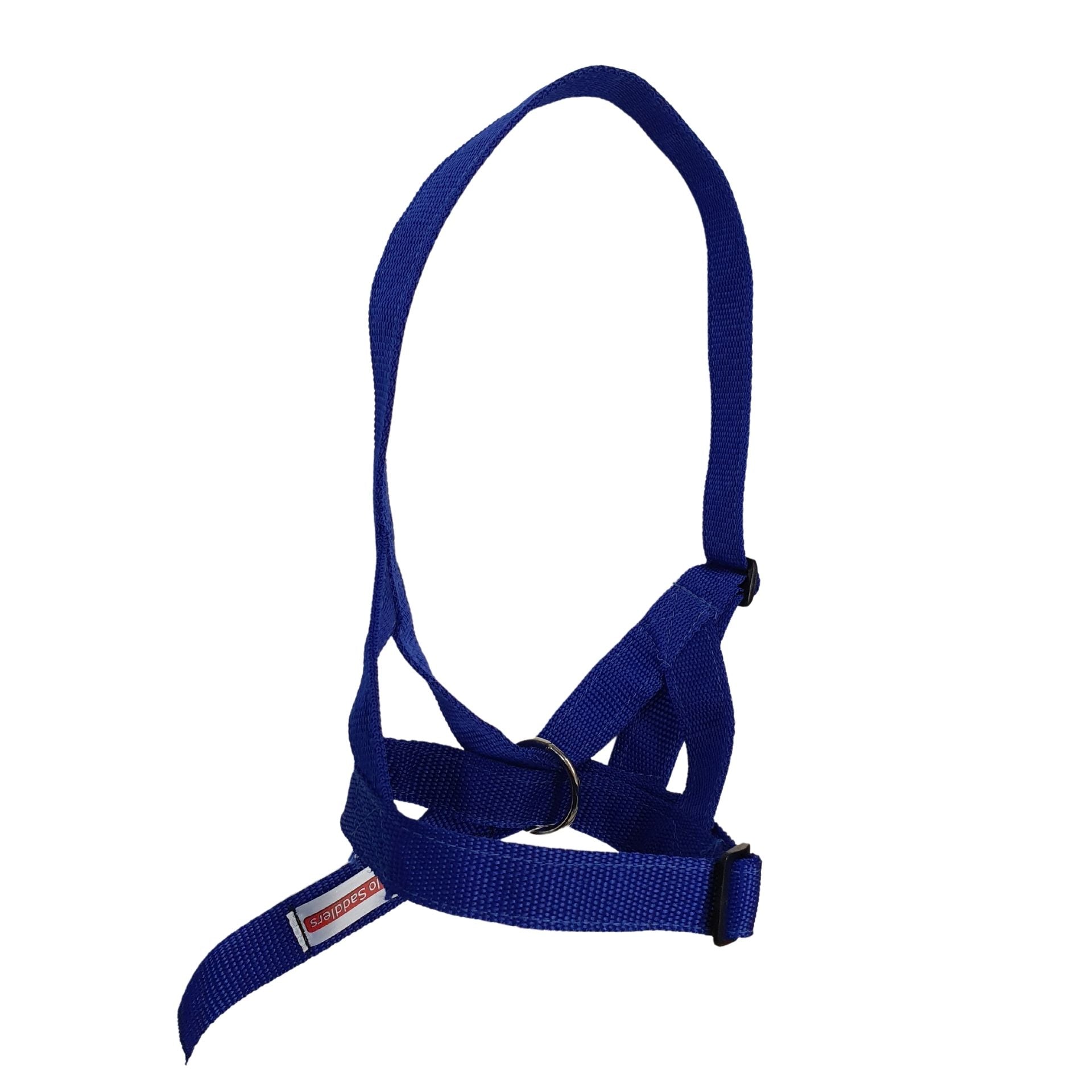 Halter Foal Baby Slip Solo